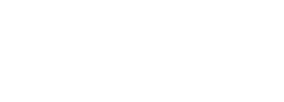 Fogo Logo