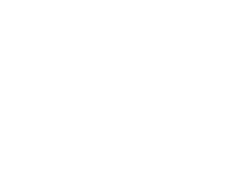 Meat n bone