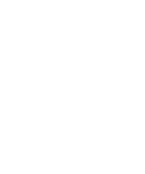 Z grills logo